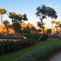 фото из отзыва ID 2739598