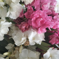 фото из отзыва ID 2739596