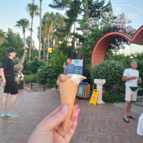 фото из отзыва ID 2739596