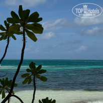 фото из отзыва ID 2739615