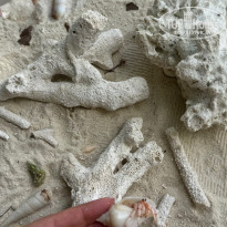 фото из отзыва ID 2739615