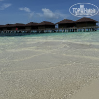 фото из отзыва ID 2739615