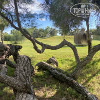 фото из отзыва ID 2739619