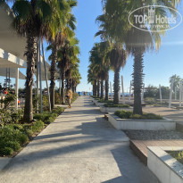 фото из отзыва ID 2739619