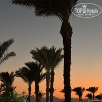 фото из отзыва ID 2739646