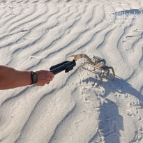 фото из отзыва ID 2739663