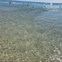 фото из отзыва ID 2739673