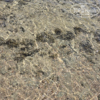 фото из отзыва ID 2739673