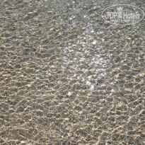 фото из отзыва ID 2739673