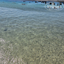 фото из отзыва ID 2739673