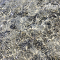 фото из отзыва ID 2739673