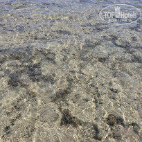 фото из отзыва ID 2739673