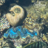 фото из отзыва ID 2739682