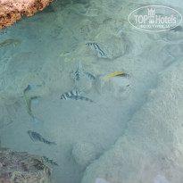 фото из отзыва ID 2739682