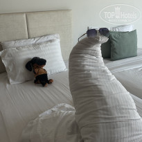 фото из отзыва ID 2739687