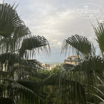 фото из отзыва ID 2739696