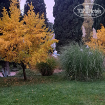 фото из отзыва ID 2739705