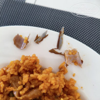 фото из отзыва ID 2739710