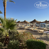 фото из отзыва ID 2739733