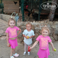 фото из отзыва ID 2739594