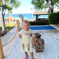 фото из отзыва ID 2739594