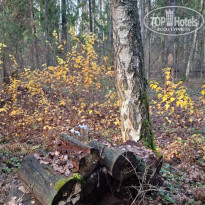 фото из отзыва ID 2739747