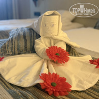 фото из отзыва ID 2739759