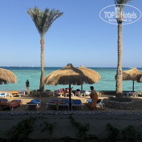 фото из отзыва ID 2739767