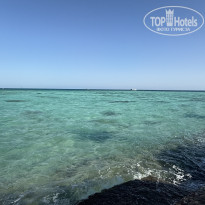 фото из отзыва ID 2739767