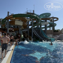 фото из отзыва ID 2739784