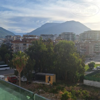 фото из отзыва ID 2739809