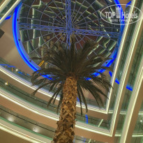 фото из отзыва ID 2739809