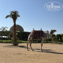 фото из отзыва ID 2739820