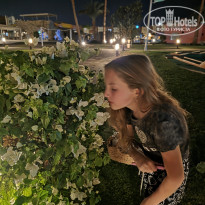 фото из отзыва ID 2739823