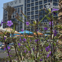 фото из отзыва ID 2739470