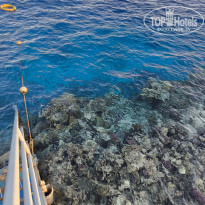 фото из отзыва ID 2739840