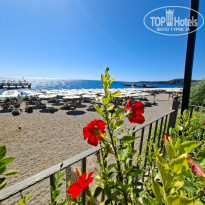 фото из отзыва ID 2739844