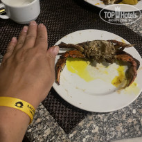 фото из отзыва ID 2739849