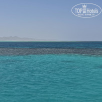 фото из отзыва ID 2739849