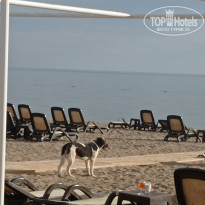 фото из отзыва ID 2739856