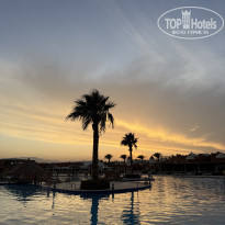 фото из отзыва ID 2739890