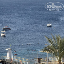 фото из отзыва ID 2739894