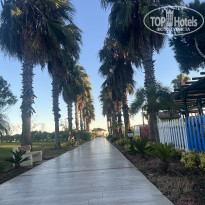 фото из отзыва ID 2739900