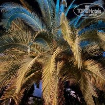 фото из отзыва ID 2739903