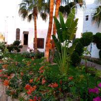 фото из отзыва ID 2739923