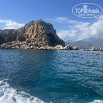 фото из отзыва ID 2739936