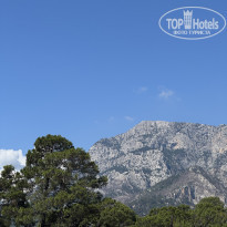 фото из отзыва ID 2739940