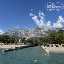 фото из отзыва ID 2739940