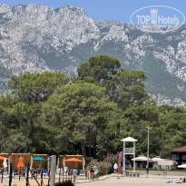 фото из отзыва ID 2739940