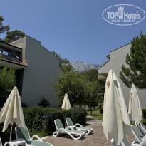 фото из отзыва ID 2739940